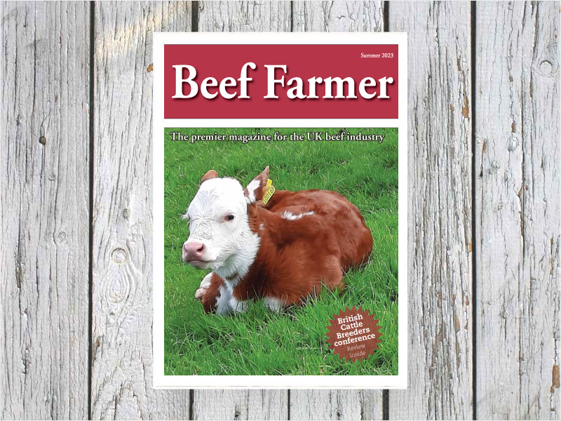 Beef Farmer publication from Shepherd Publishing