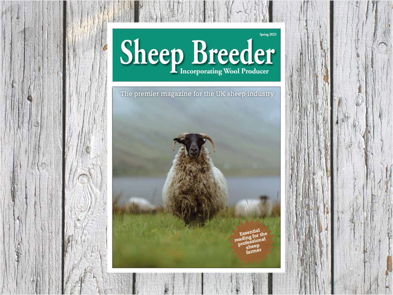 Sheep Breeder publication from Shepherd Publishing